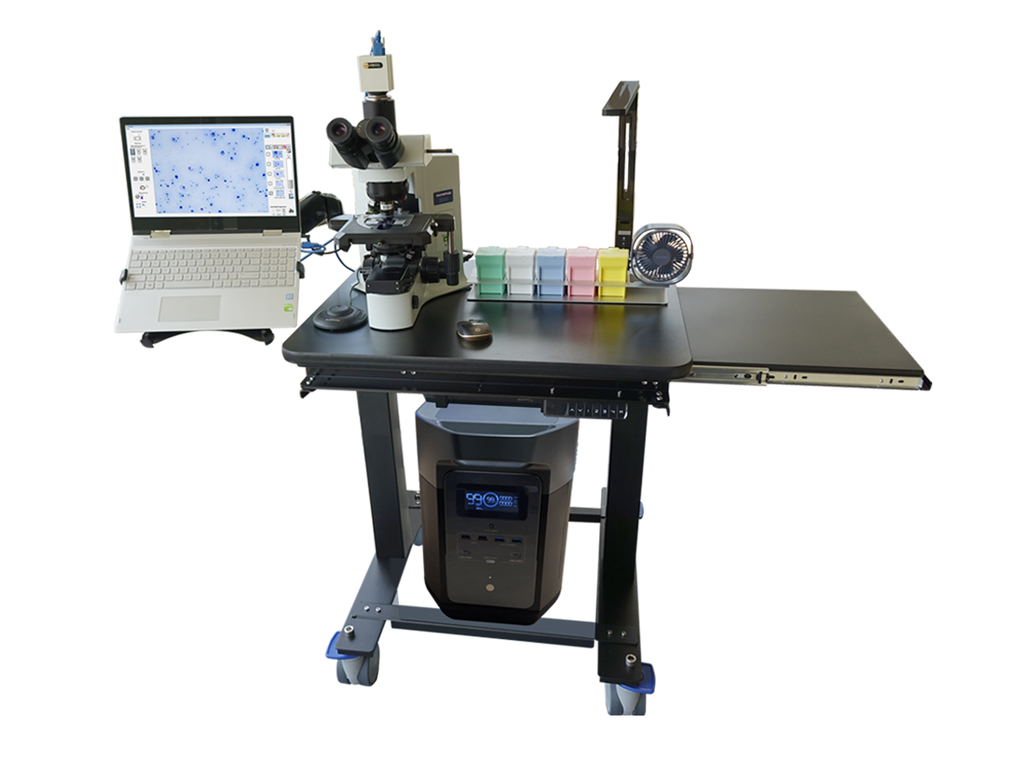 pathology-microscope-cytoxpress