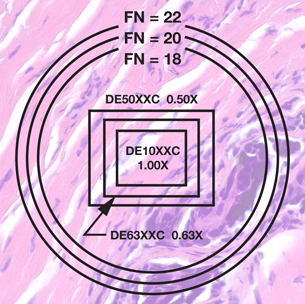 Microscope Adapter Magnfication Effects Image Field of View