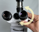 Setting the microscope's interpupillary distance