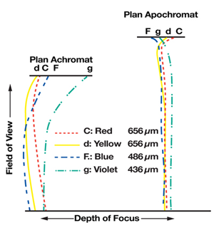 Compare Flatness of Field of Different Microscope Objective Designs