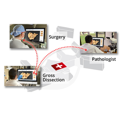 PathStand Facilitates Consultations