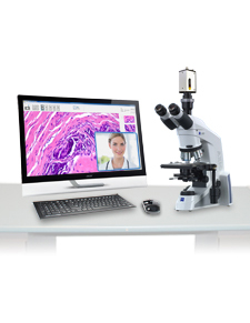 Pathology Microscope Imaging
