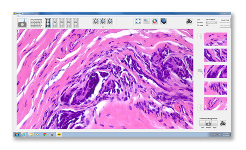 PathSuite Software Interface