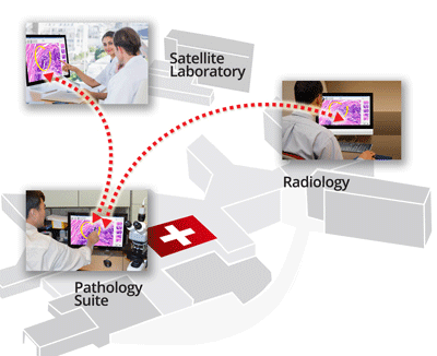 How SPOTMeeting Enables Interactive Telepathology